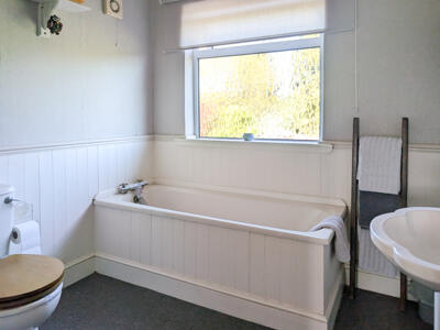 Picture 24